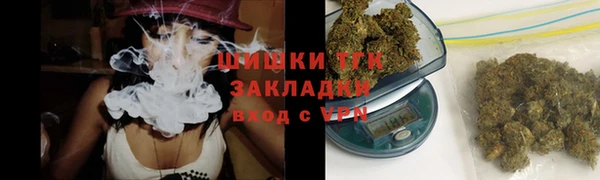 соль ск Гусев