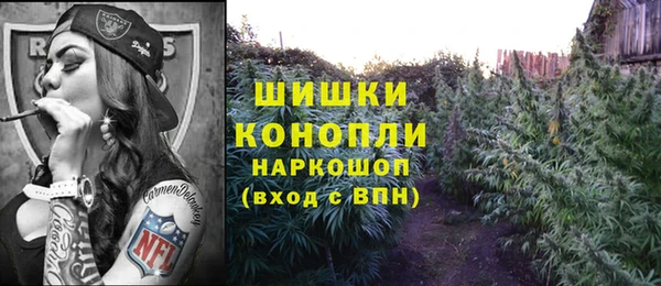 ГАЛЛЮЦИНОГЕННЫЕ ГРИБЫ Гусиноозёрск