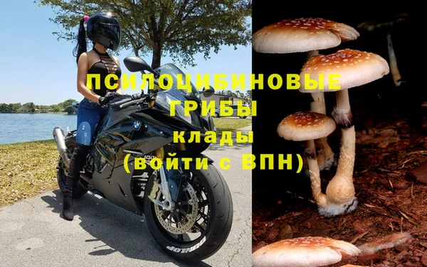 соль ск Гусев